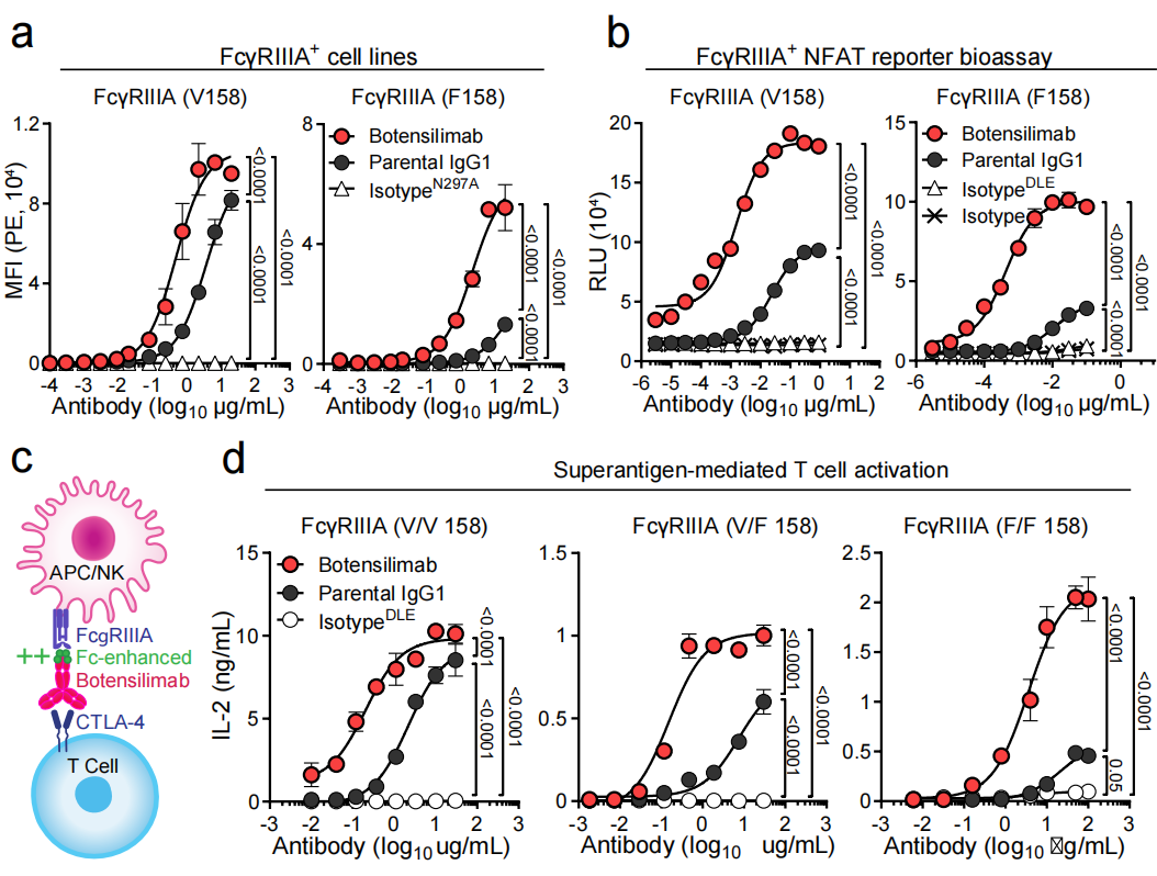 Fc enhanced anti CTLA-4 antibody Botensilimab treats tumors that respond poorly to conventional immunotherapy